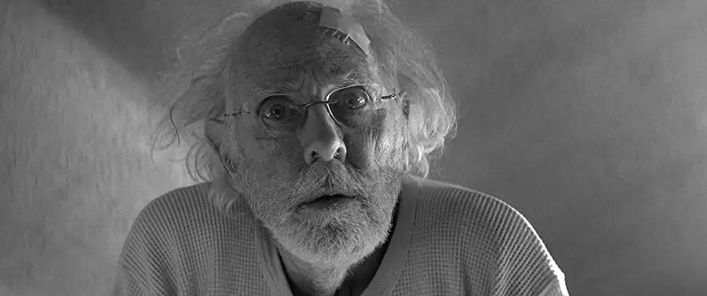 ネブラスカ ふたつの心をつなぐ旅の画像