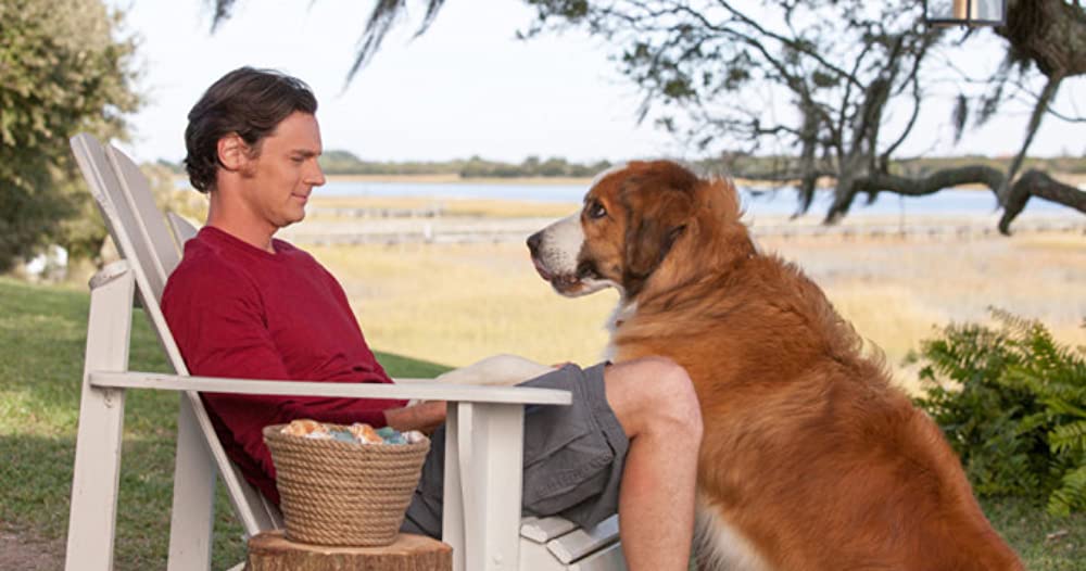 きみがくれた物語の画像