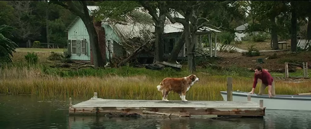 きみがくれた物語の画像