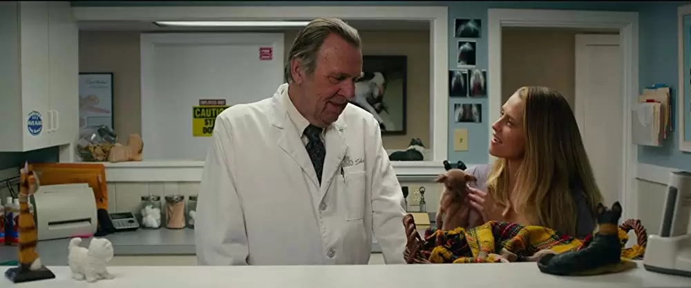 きみがくれた物語の画像