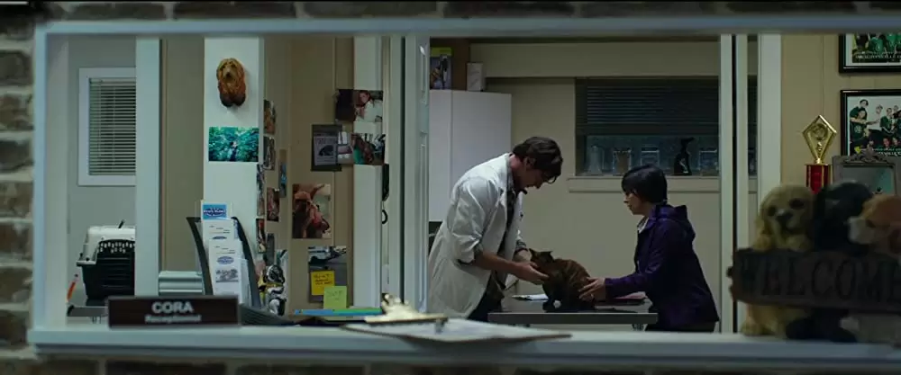 きみがくれた物語の画像