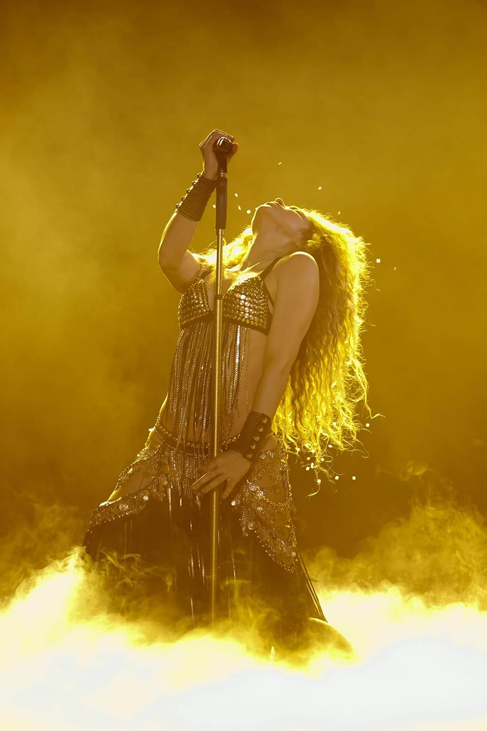Shakira in Concert: El Dorado World Tour（原題）の画像