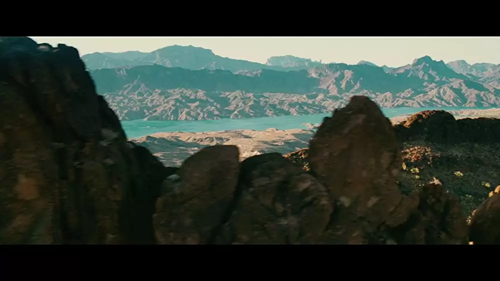 ピラニア 3Dの画像