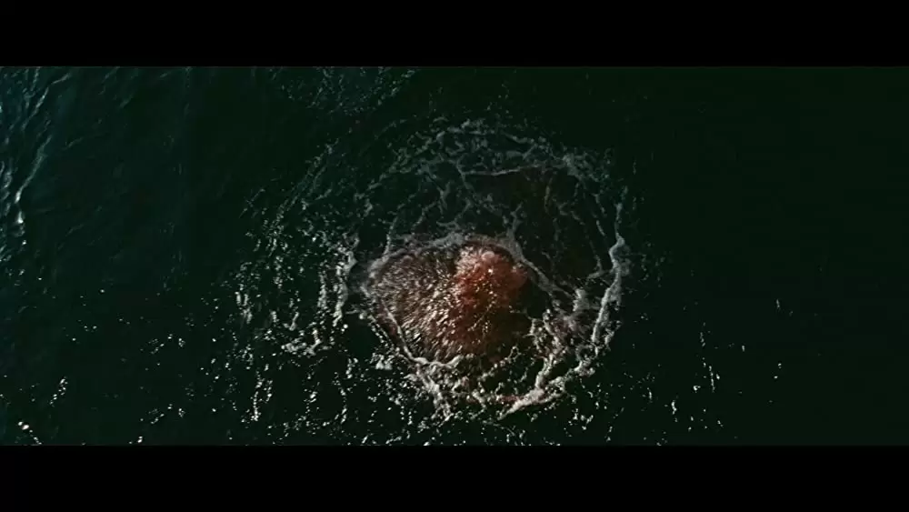 ピラニア 3Dの画像