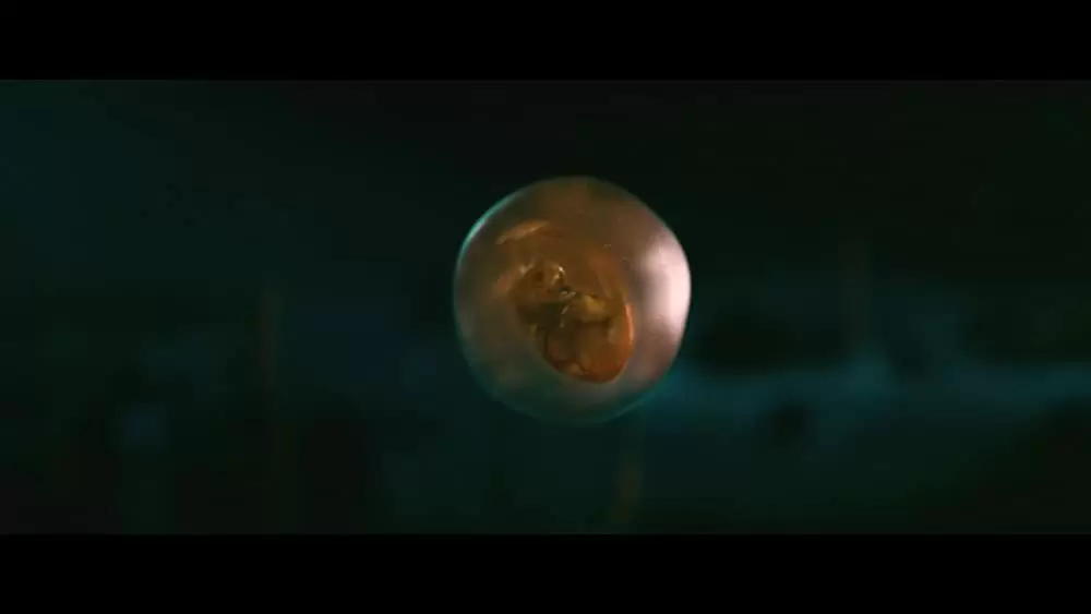 ピラニア 3Dの画像