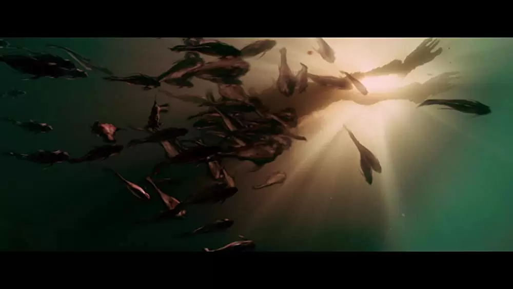 ピラニア 3Dの画像