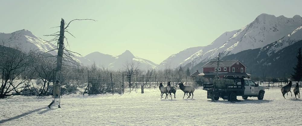 シュガー・マウンテンの画像