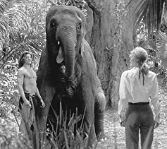 ザ・シンプソンズ MOVIEの画像