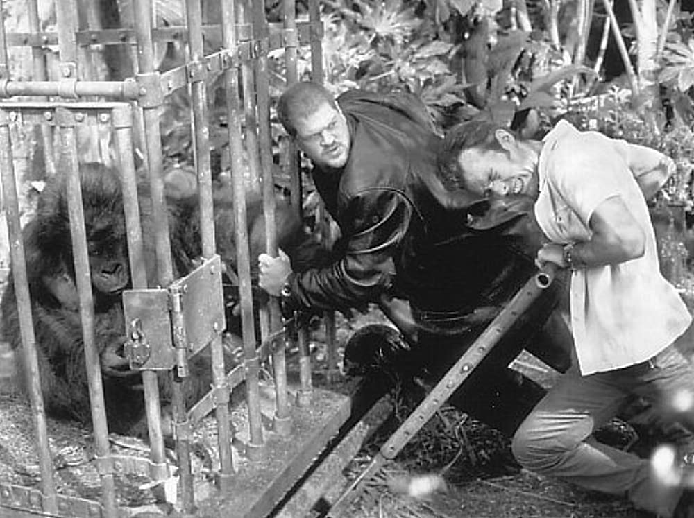 ジャングル・ジョージの画像