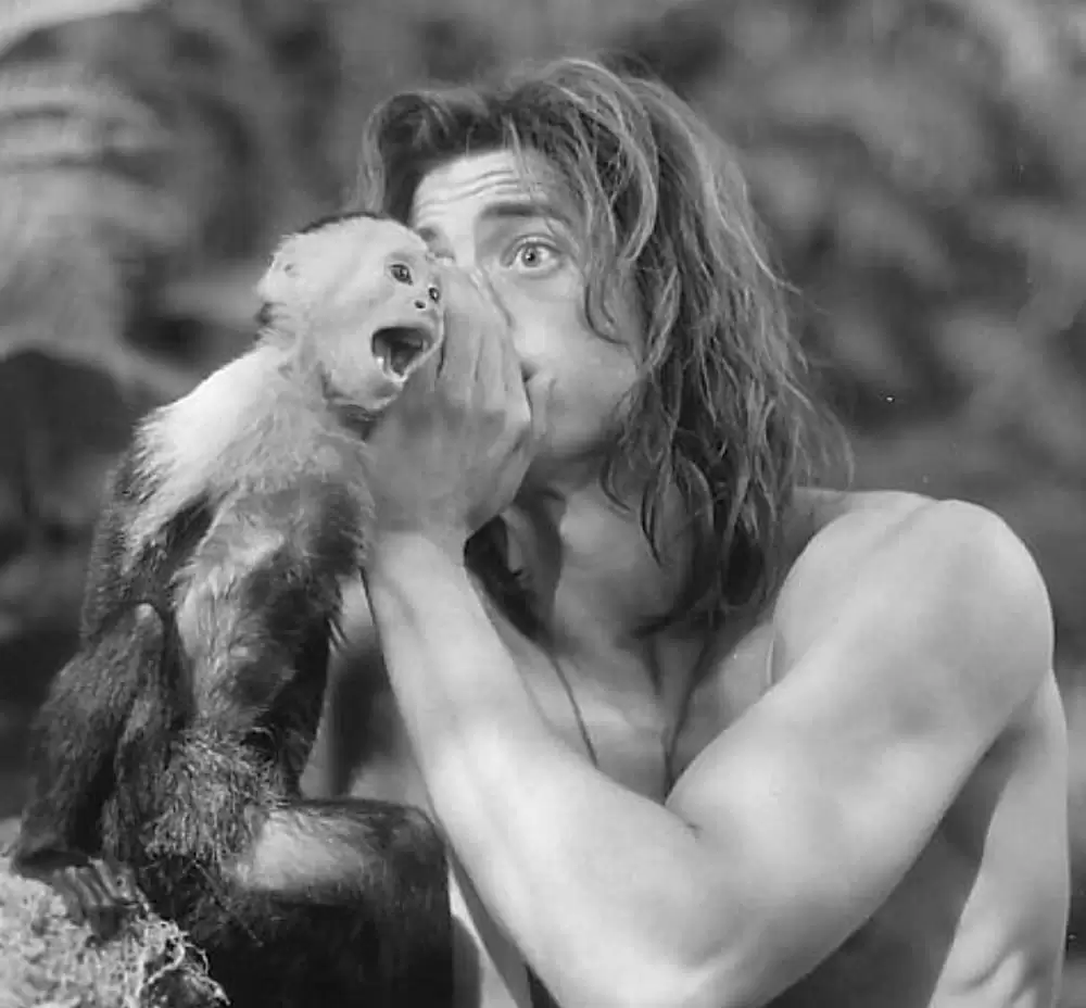 ジャングル・ジョージの画像