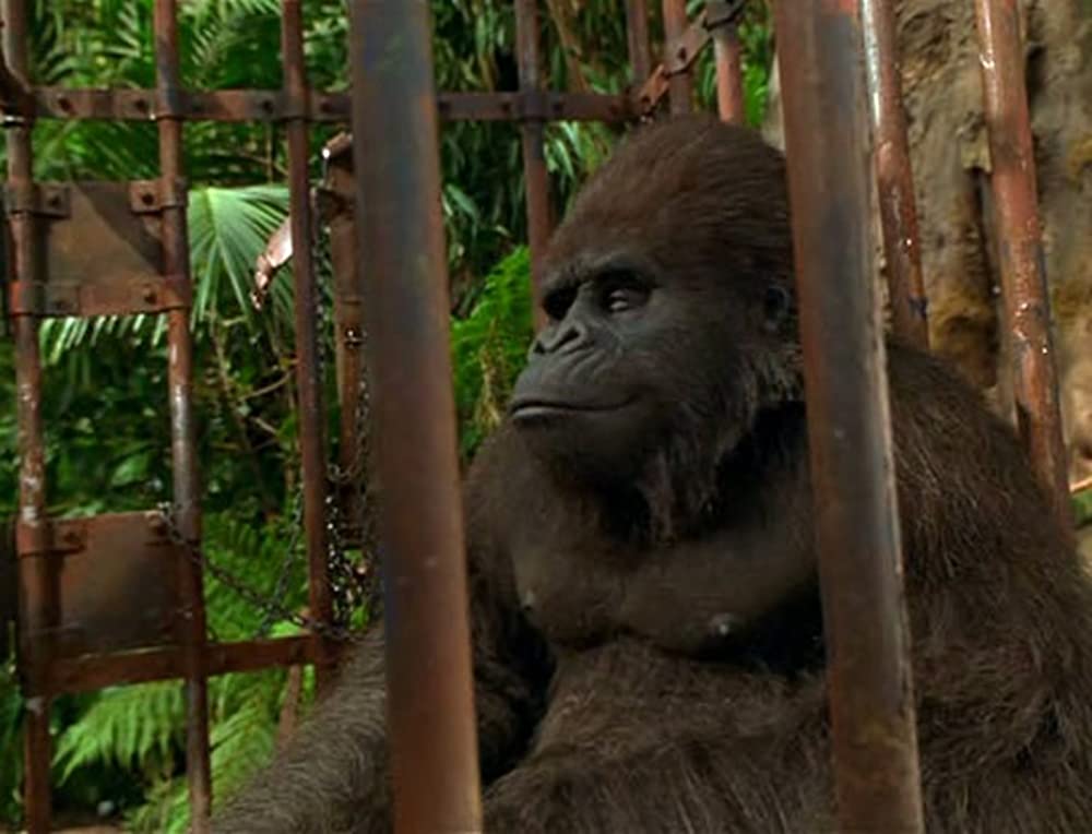 ジャングル・ジョージの画像