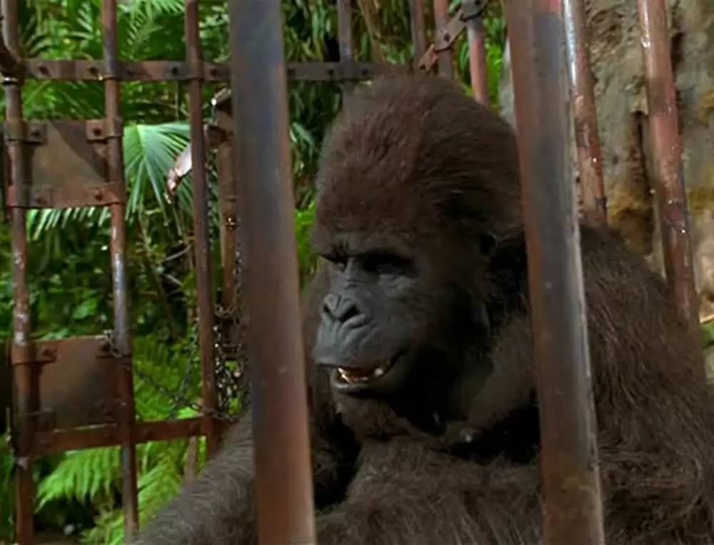 「ジャングル・ジョージ」ジョン・クリーズの画像