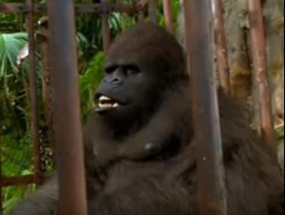 ジャングル・ジョージの画像