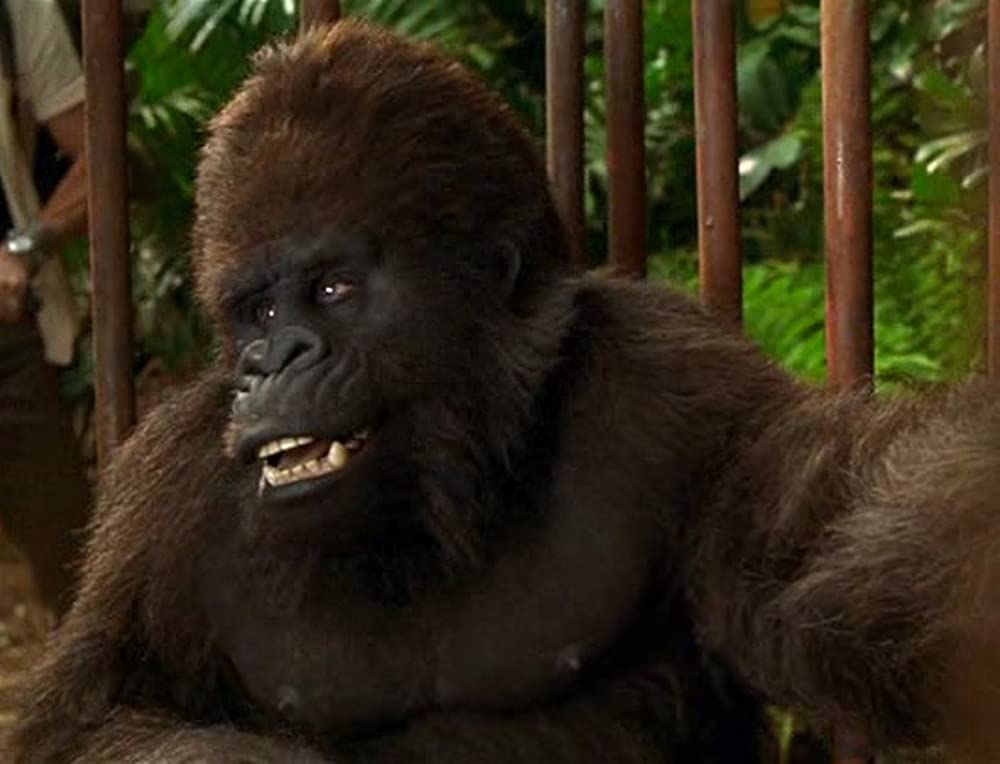 ジャングル・ジョージの画像