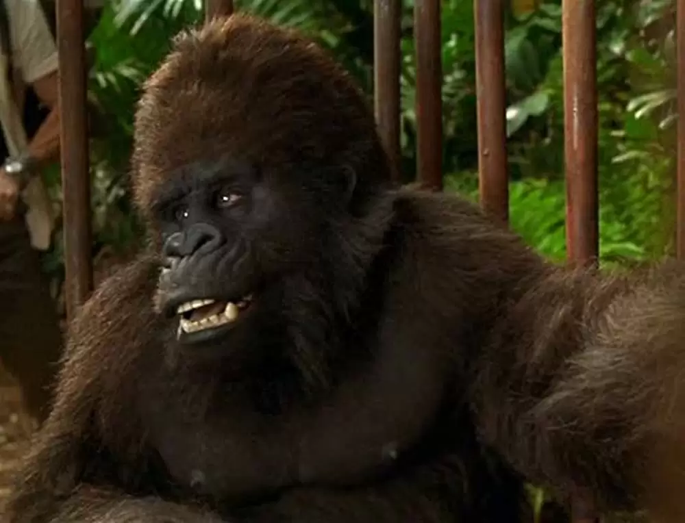 「ジャングル・ジョージ」ジョン・クリーズの画像