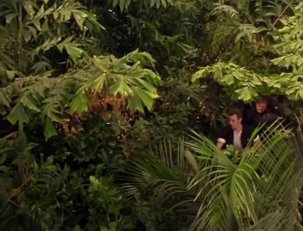 ジャングル・ジョージの画像