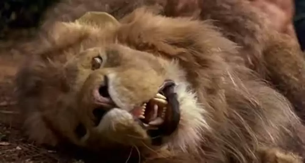 ジャングル・ジョージの画像