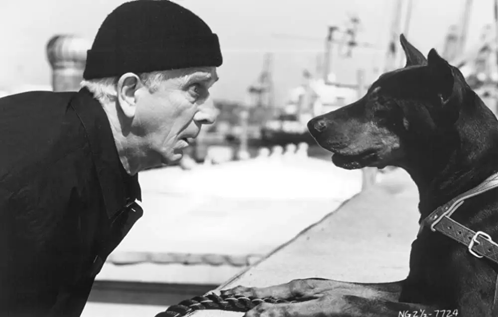 「裸の銃を持つ男 PART2 1/2」レスリー・ニールセンの画像