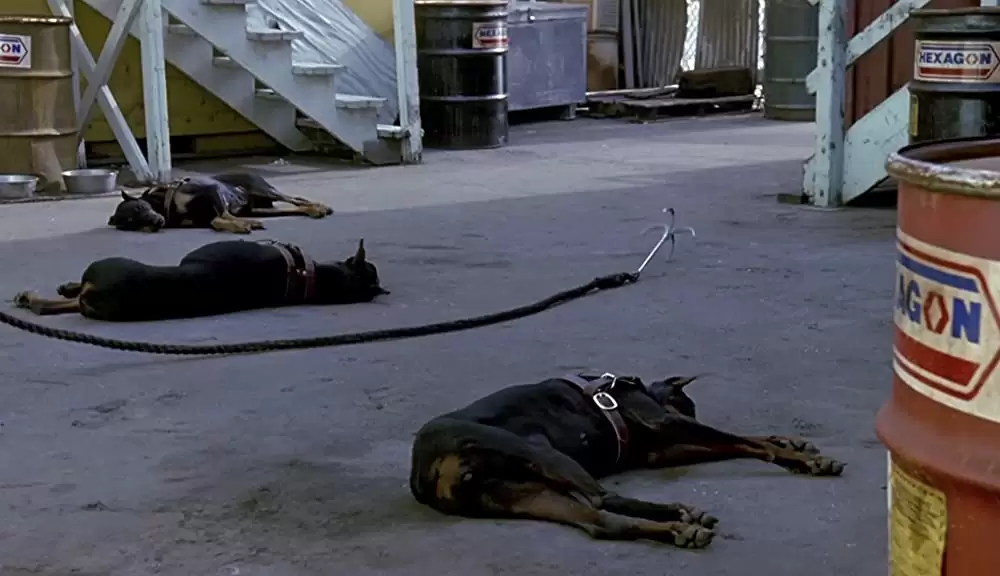 裸の銃を持つ男 PART2 1/2の画像