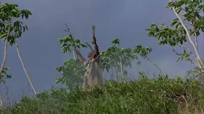 「アウトブレイク」の画像