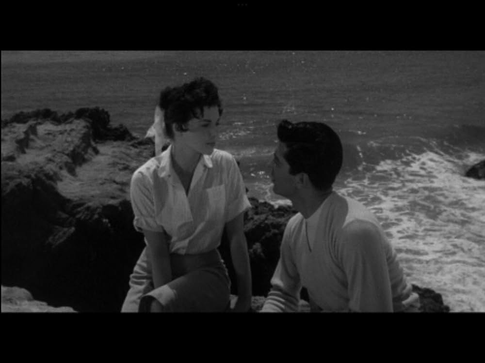 The Night Runner（原題）の画像