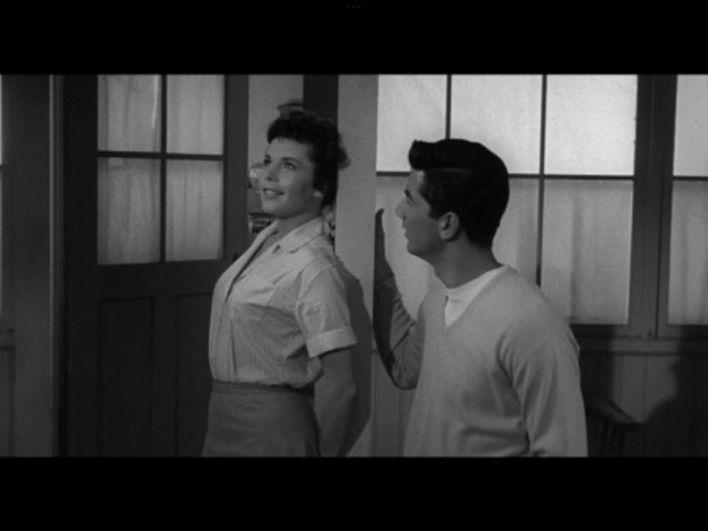 The Night Runner（原題）の画像