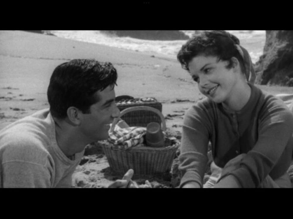 The Night Runner（原題）の画像