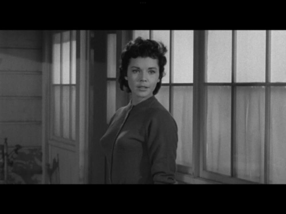 The Night Runner（原題）の画像