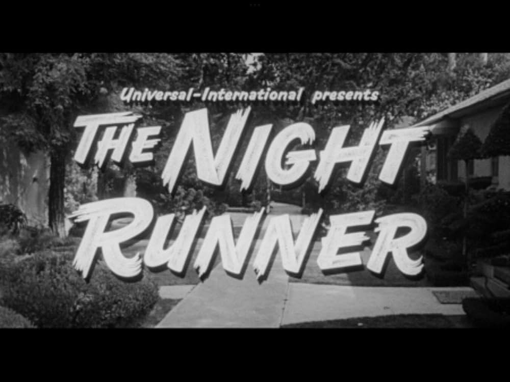 The Night Runner（原題）の画像