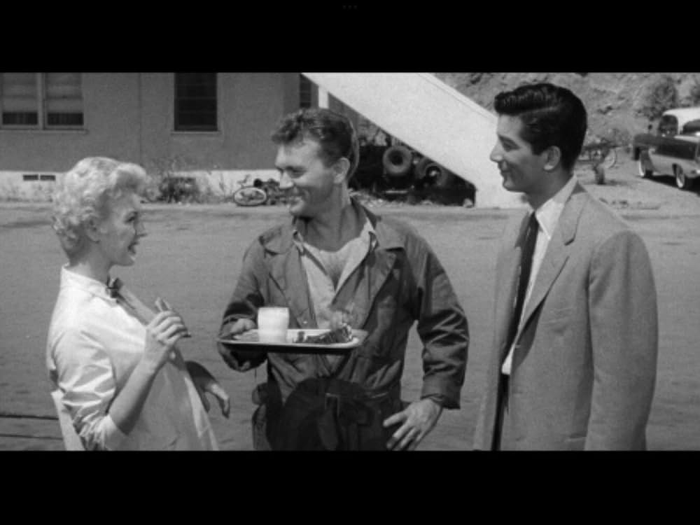 The Night Runner（原題）の画像