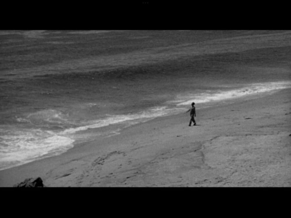 The Night Runner（原題）の写真