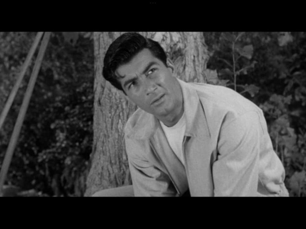 The Night Runner（原題）の画像