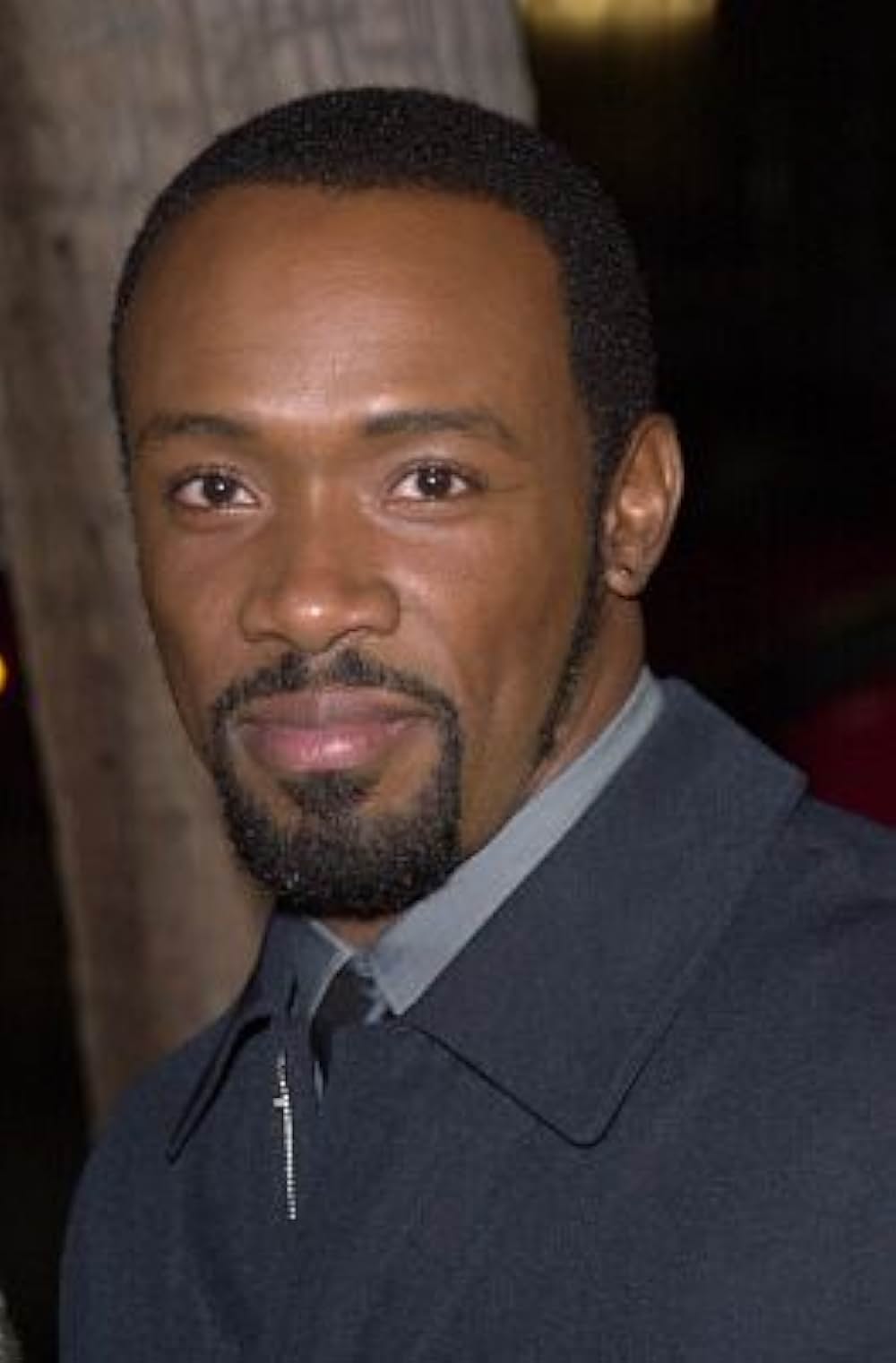 ザ・ダイバーの画像