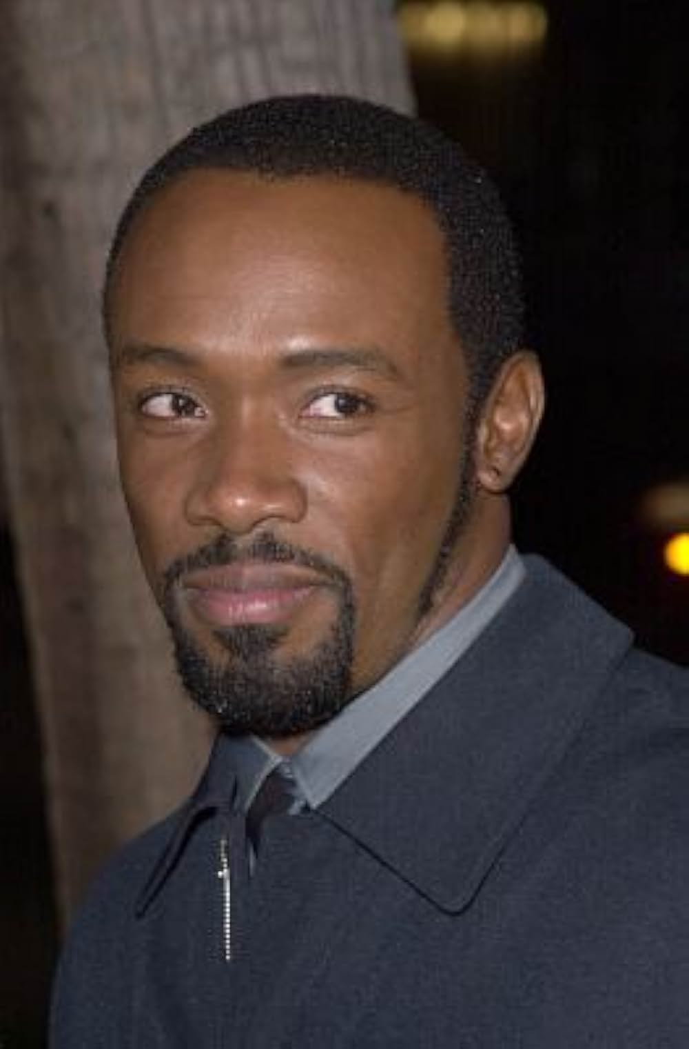 ザ・ダイバーの画像