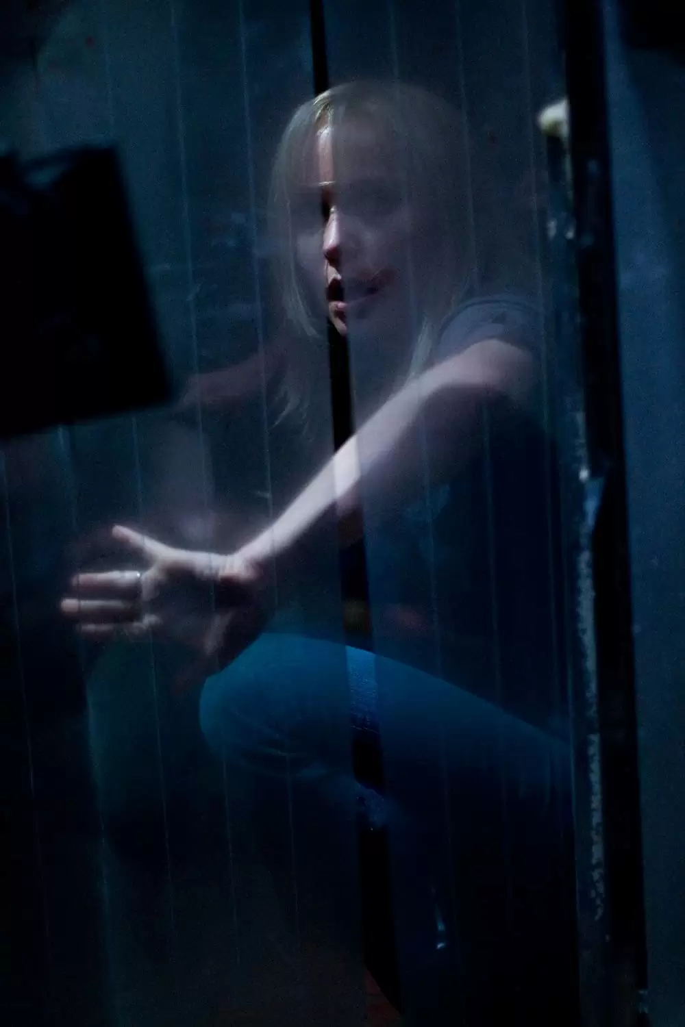 クレイジーズの画像