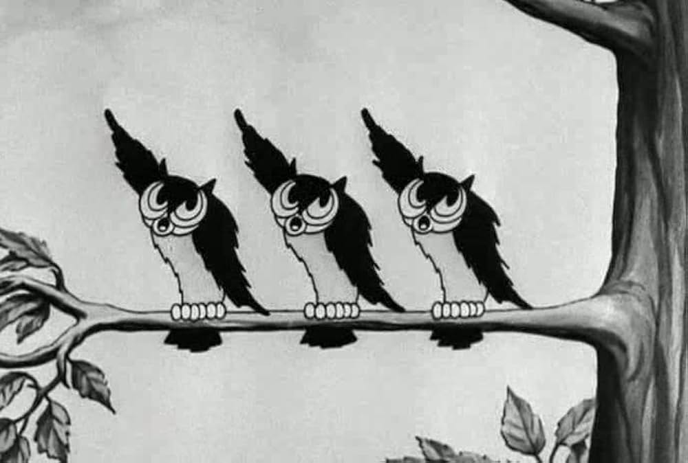 共同作戦異常なしの画像