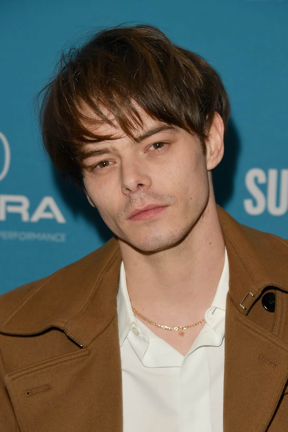 ベルベット・バズソー: 血塗られたギャラリー​の画像