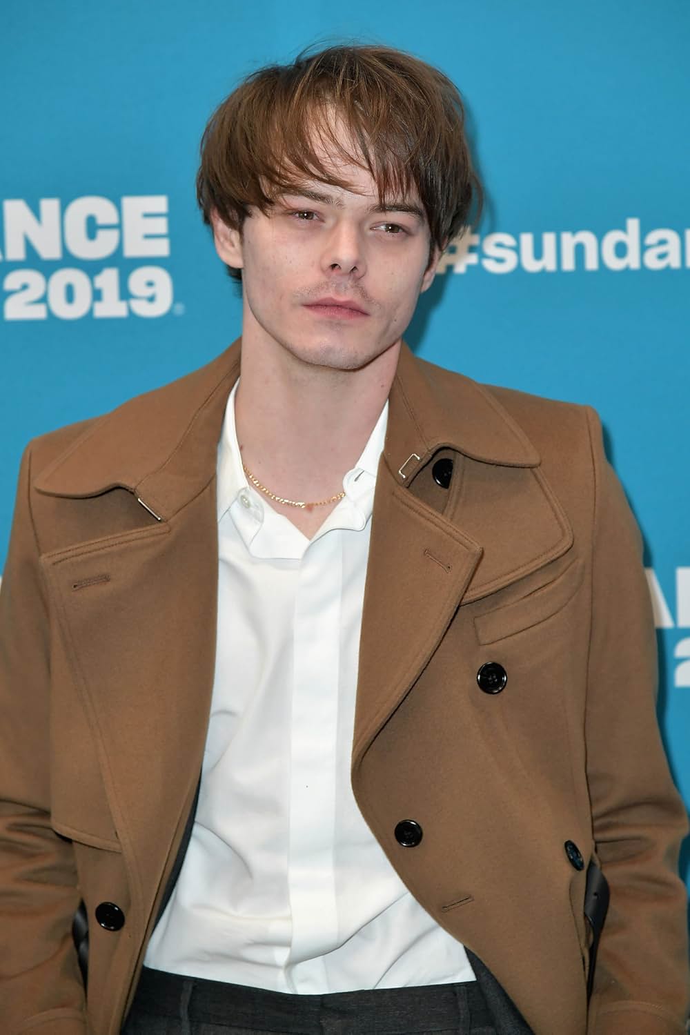 ベルベット・バズソー: 血塗られたギャラリー​の画像