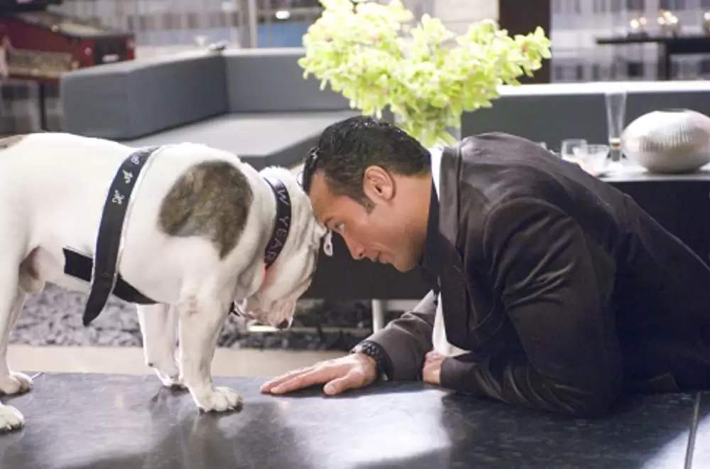 「ゲーム・プラン」ドウェイン・ジョンソンの画像