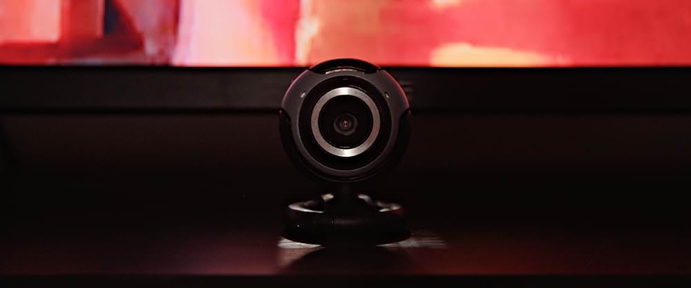 The Artifice Girl（原題）の画像