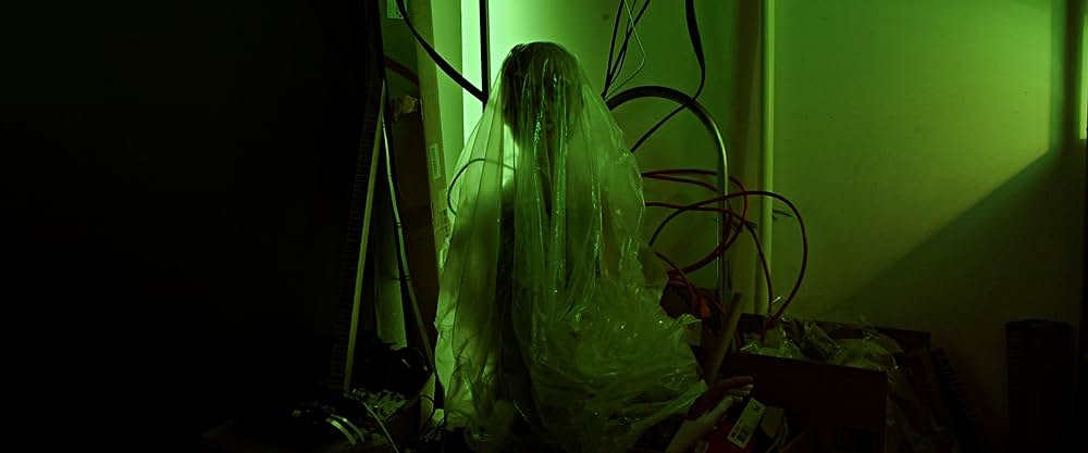 The Artifice Girl（原題）の画像