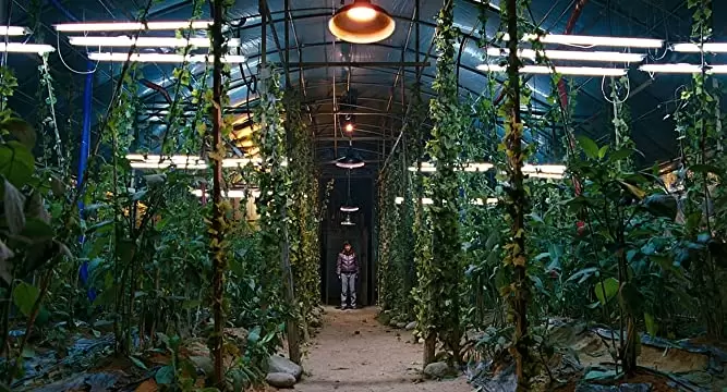 悪魔を見たの画像