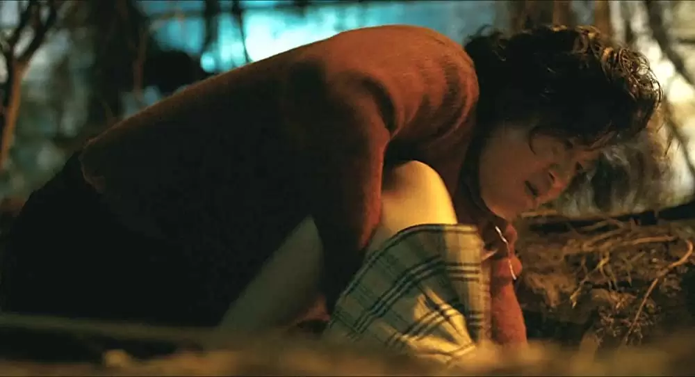 悪魔を見たの画像