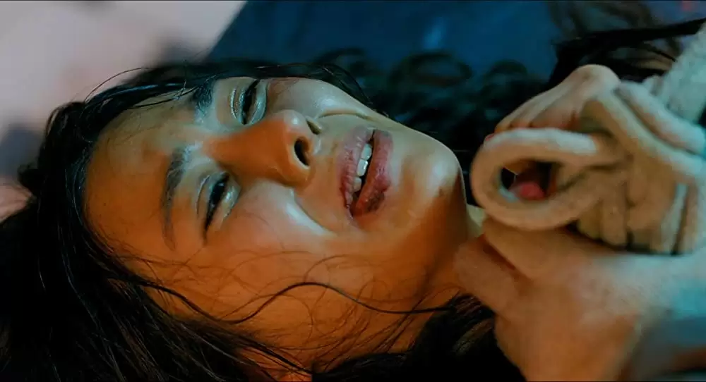 悪魔を見たの画像