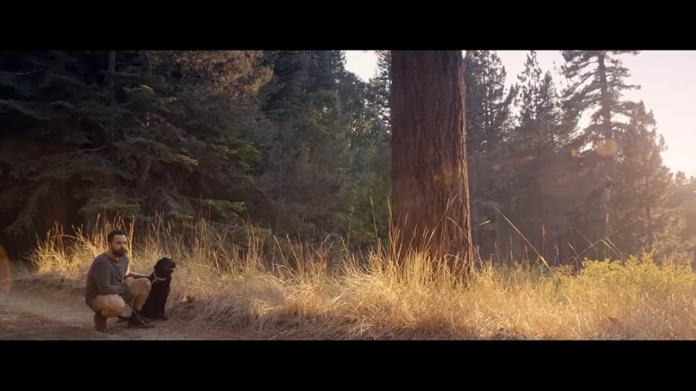 Ride the Eagle（原題）の画像