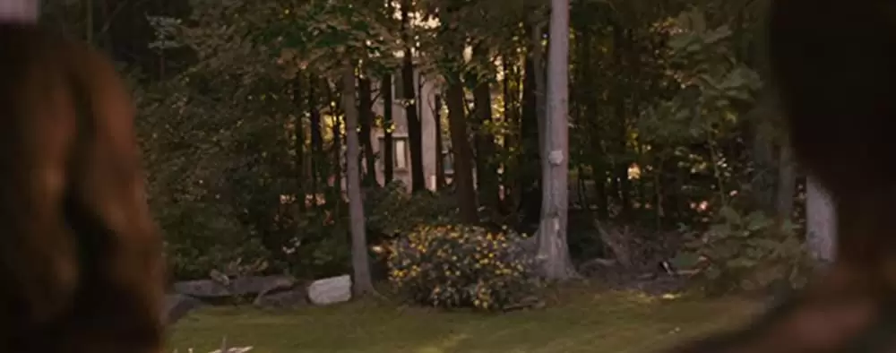 ボディ・ハントの画像