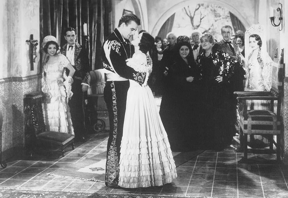 南方の騎士の画像