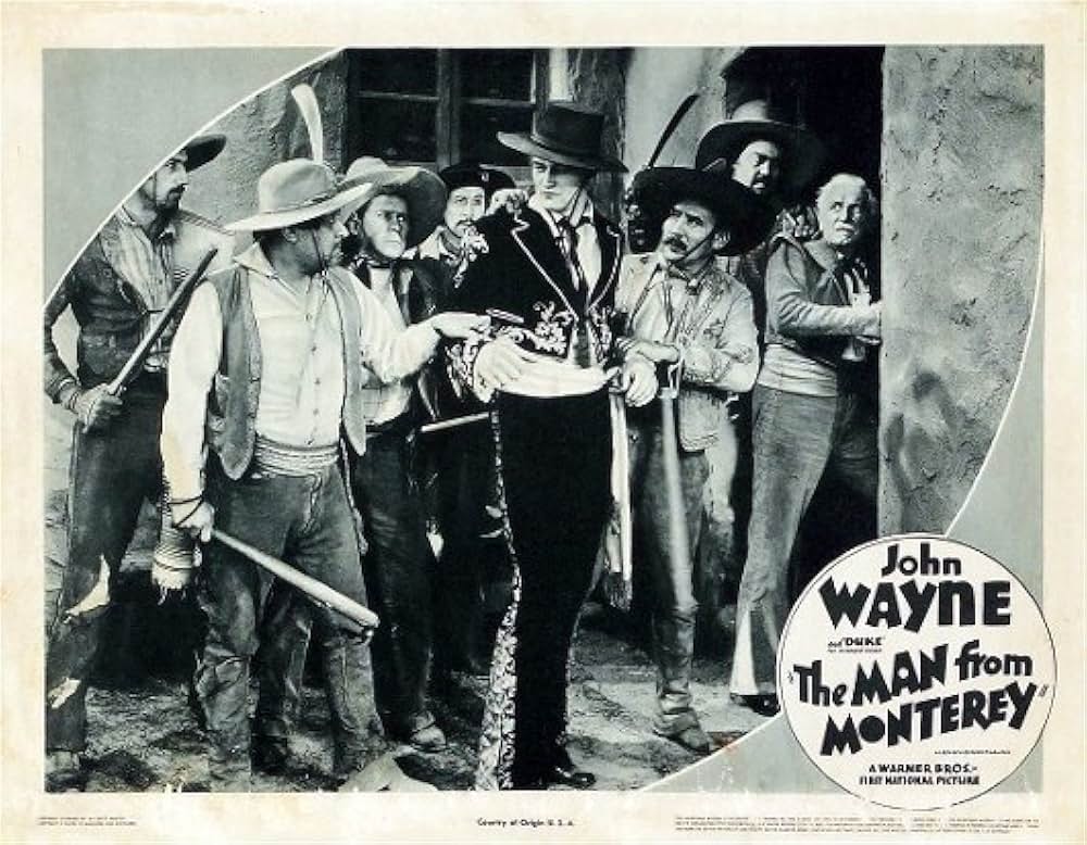 南方の騎士の画像