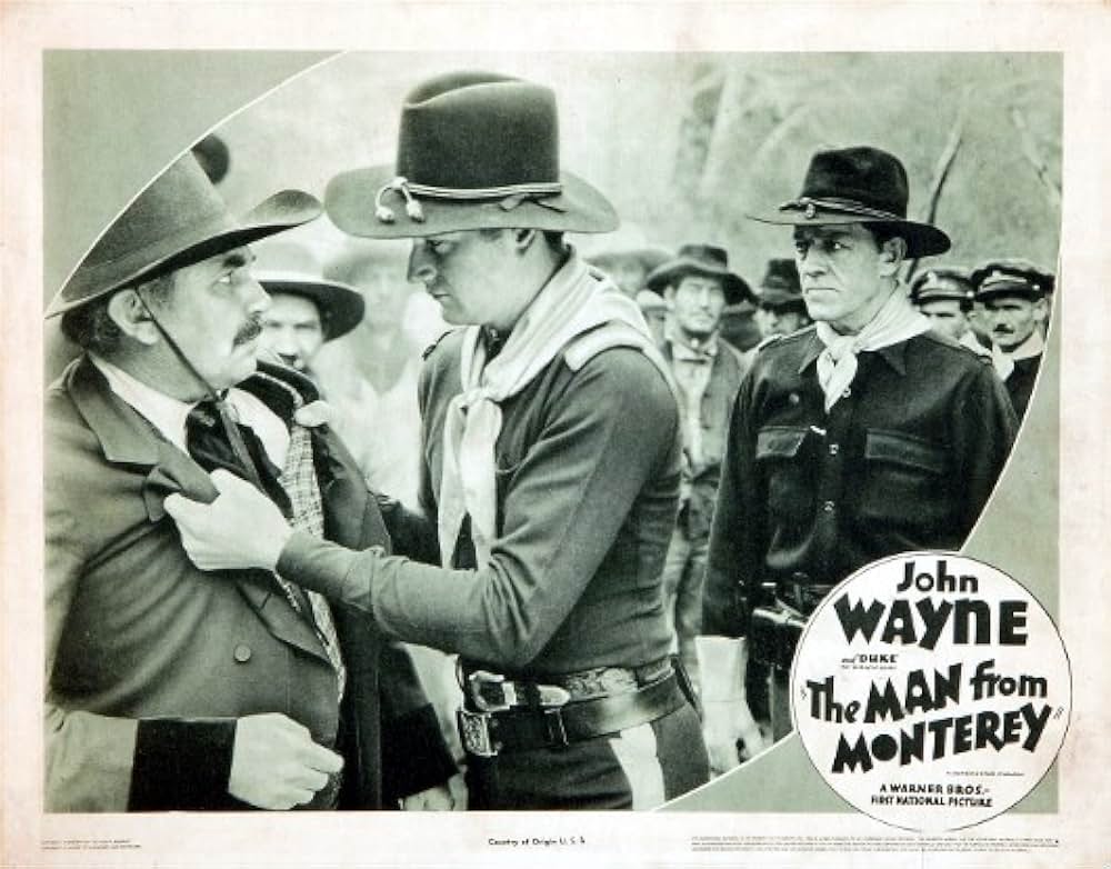 南方の騎士の画像