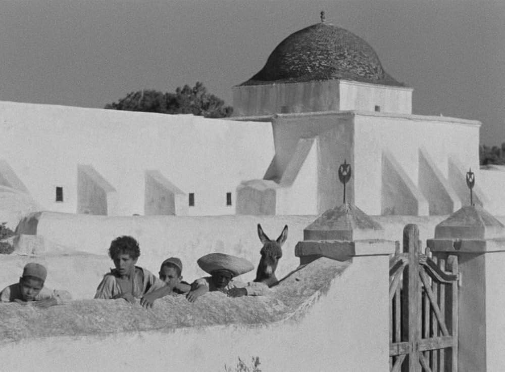 Bim（原題）の画像